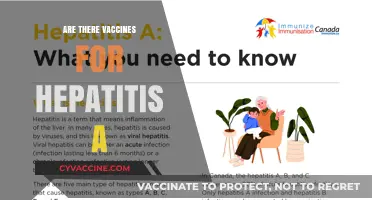 Hepatitis A Vaccines: Availability, Importance, and Protection Explained