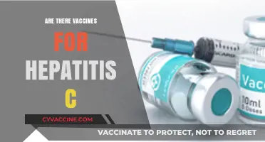 Hepatitis C Vaccines: Current Status and Future Prospects Explained