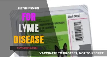 Exploring Lyme Disease Vaccines: Current Options and Future Developments
