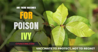 Can Vaccines Protect Against Poison Ivy? Exploring Prevention Options