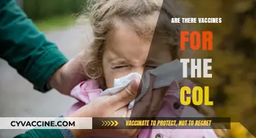 Exploring Vaccines for the Common Cold: Are They Available?