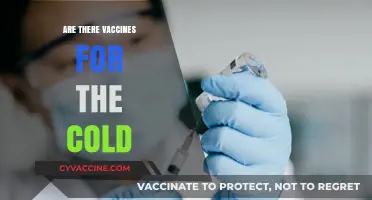 Can Vaccines Prevent the Common Cold? Exploring the Science and Possibilities
