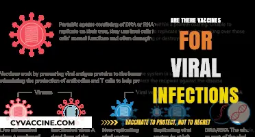Vaccines for Viral Infections: Availability, Effectiveness, and Prevention Strategies