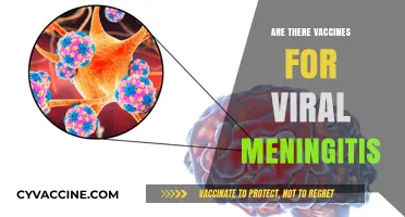 Vaccines for Viral Meningitis: Prevention Options and Availability Explained