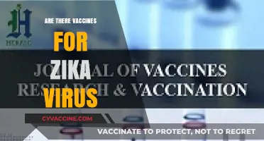 Are There Vaccines for Zika Virus? Current Developments and Prevention Tips