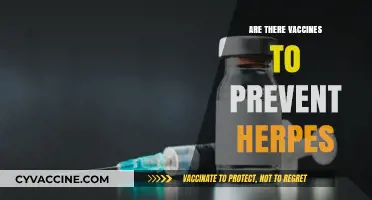 Can Vaccines Prevent Herpes? Exploring Current Research and Possibilities