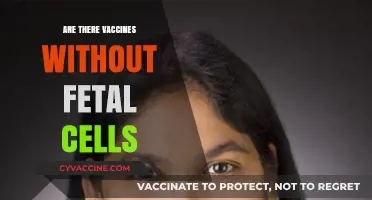 Vaccines and Fetal Cells: Separating Fact from Fiction