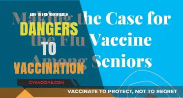 Vaccination Dangers: Separating Verifiable Risks from Misinformation and Myths