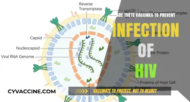 Vaccines Against HIV: Preventing Infection?