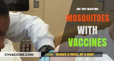 Mosquito Vaccine Injections: Fact or Fiction? Exploring the Science