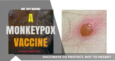Monkeypox Vaccine Development: Current Efforts and What to Expect