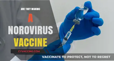 Is a Norovirus Vaccine on the Horizon? Latest Developments