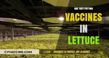 Are Vaccines in Lettuce? Debunking Conspiracy Theories and Food Myths