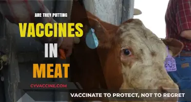 Vaccines in Meat: Separating Fact from Fiction in Food Supply
