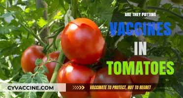 Are Vaccines Being Secretly Added to Our Tomato Supply?