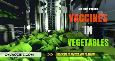 Vaccines in Vegetables: Separating Fact from Fiction in Food Concerns