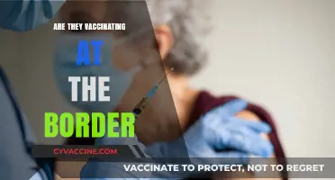 Border Vaccinations: Are Travelers Receiving COVID-19 Shots at Crossings?