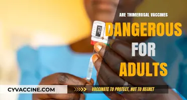 Thimerosal in Vaccines: Debunking Myths About Adult Safety Concerns