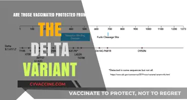 Delta Variant: Are Vaccinated People Safe?