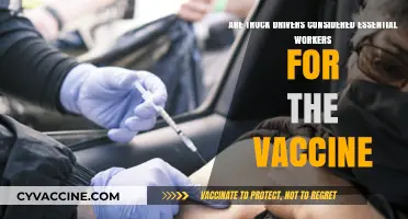Truck Drivers: Essential Workers for the Vaccine?