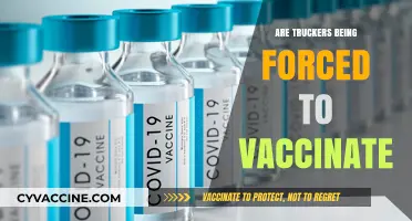 Are Truckers Facing Mandatory Vaccination Policies? Exploring the Debate