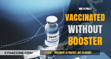 Are You Fully Vaccinated Without a Booster? What Science Says