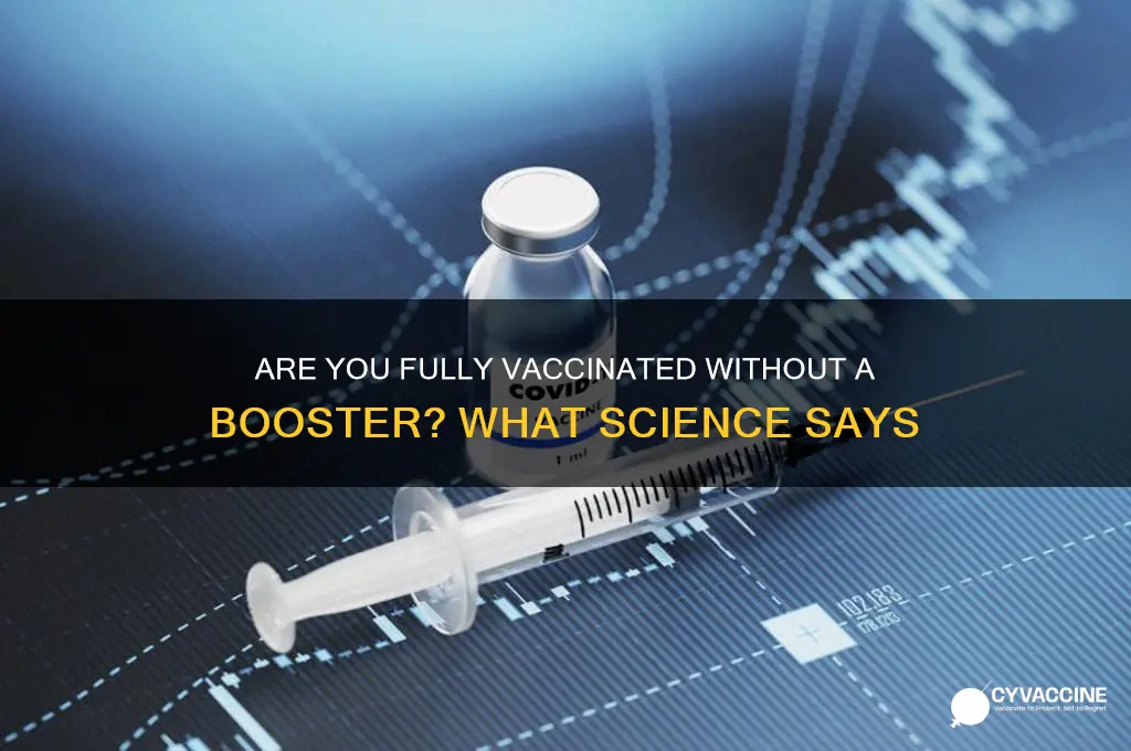 are u fully vaccinated without booster