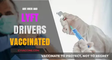 Are Uber and Lyft Drivers Vaccinated? What Riders Need to Know
