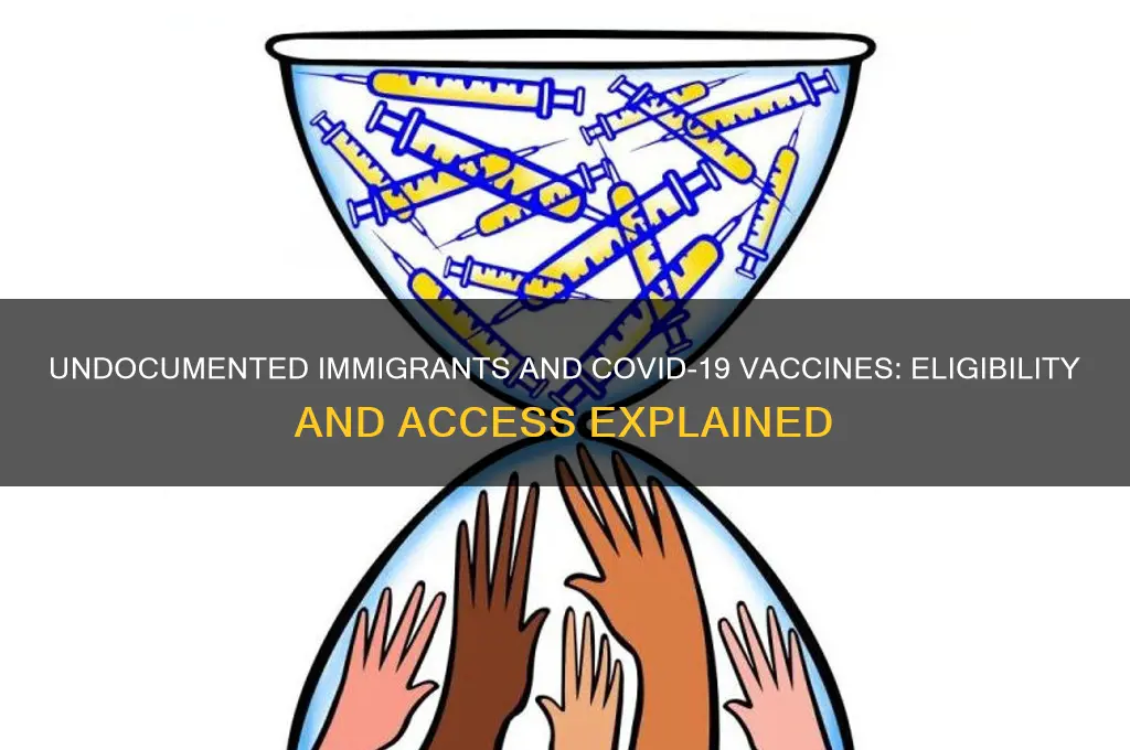 are undocumented immigrants eligible for vaccine