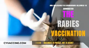 Unlicensed Vets: Can They Give Rabies Shots?