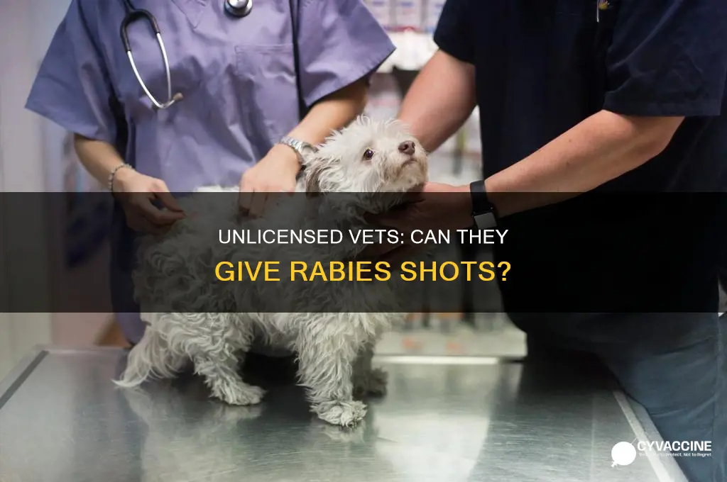 are unlicened veterinarians allowed to administer the rabies vaccination