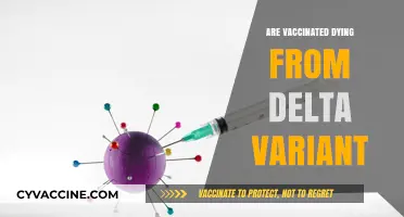 Delta Variant Deaths: Are Vaccinated Individuals at Risk?