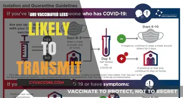 Vaccinated Individuals: Lower Transmission Risks and Community Protection Explained