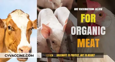 Organic Meat and Vaccinations: Balancing Animal Health with Certification Standards