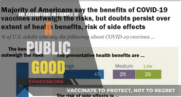 Vaccinations: A Public Good and Global Health Essential