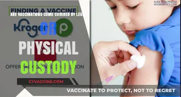 Vaccinations: Legal Custody and the Right to Decide