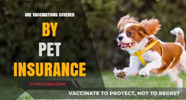 Pet Insurance and Vaccinations: What's Covered for Your Furry Friend?