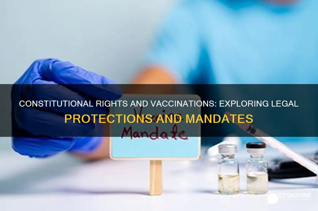 are vaccinations covered under the constitution