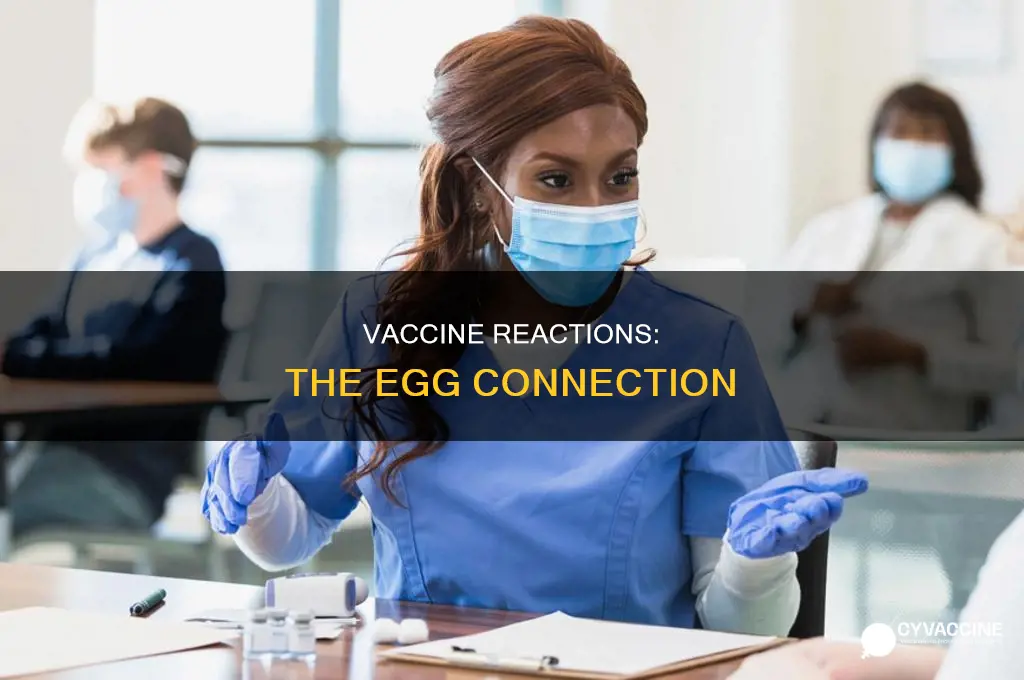 are vaccinations egg based and how many have reactions