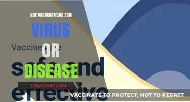 Vaccinations: Protecting Against Viruses and Diseases – What You Need to Know