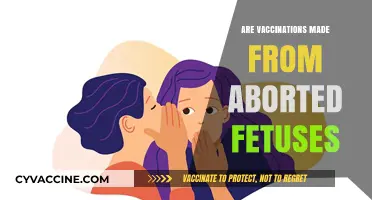 Vaccinations and Abortion: Unraveling the Fetal Tissue Myth