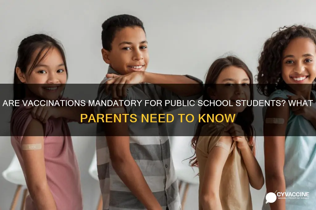are vaccinations mandatory for public school