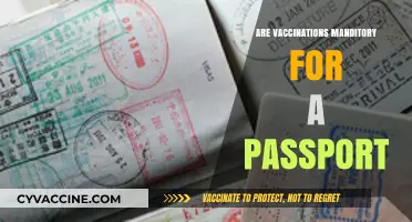 Passport Vaccination Requirements: Are Immunizations Mandatory for Global Travel?
