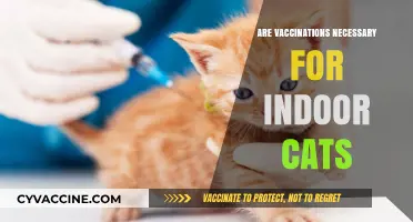 Indoor Cats and Vaccines: Are They Really Necessary for Health?