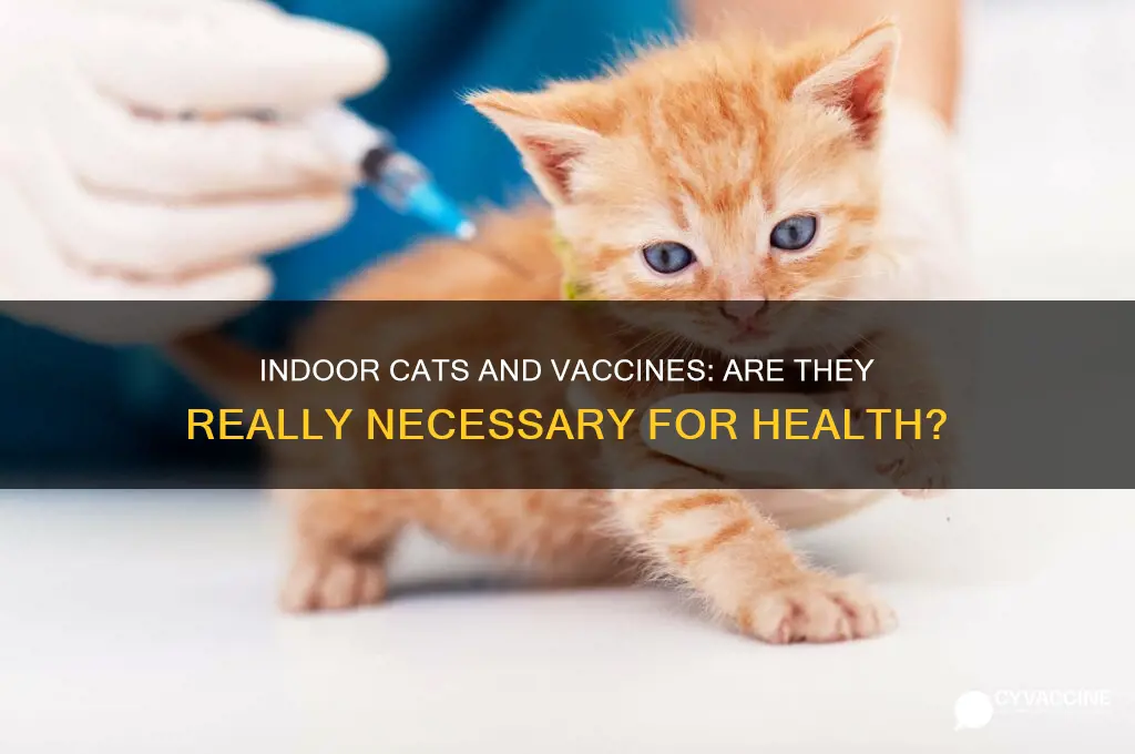 are vaccinations necessary for indoor cats