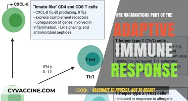 Vaccinations: Training Our Adaptive Immune Response