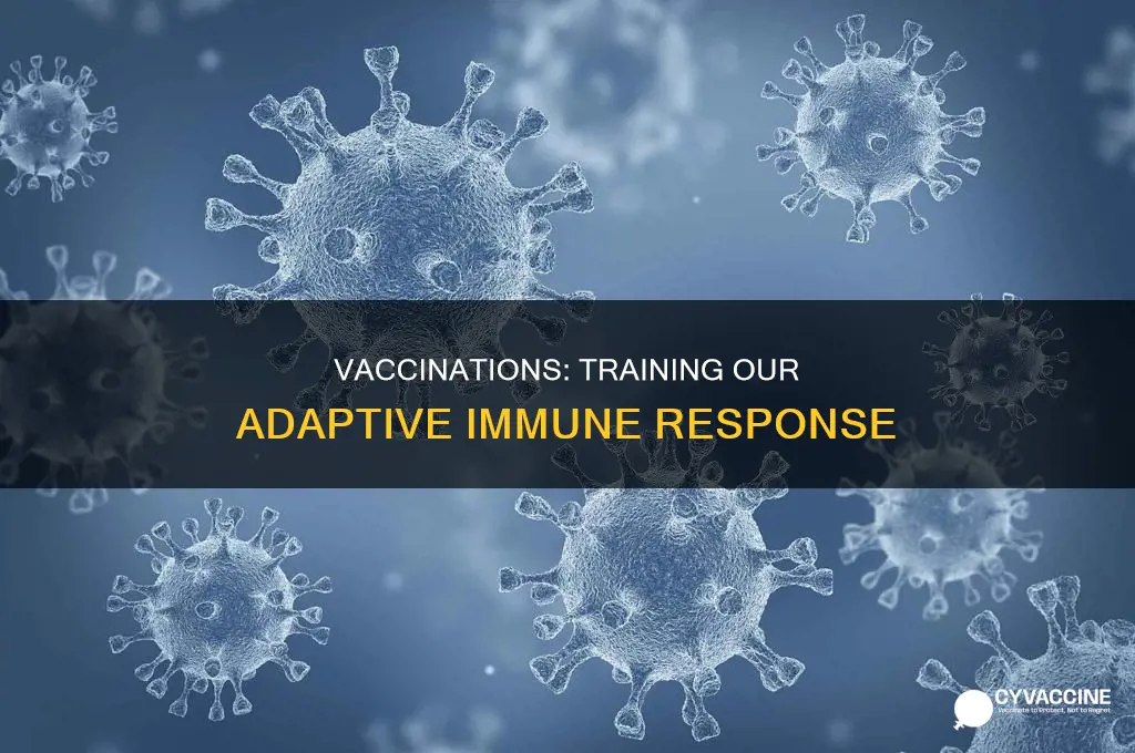 are vaccinations part of the adaptive immune response
