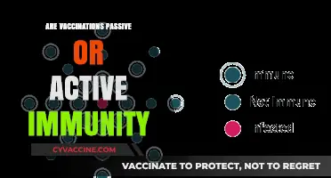 Vaccinations: Unlocking Active Immunity or Passive Protection?