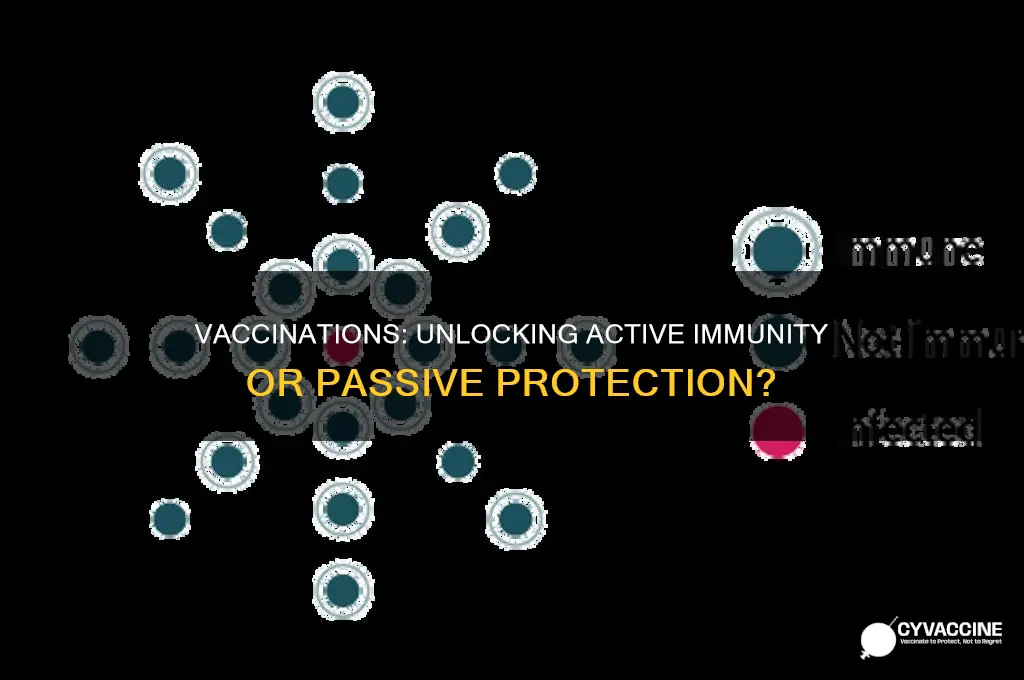 are vaccinations passive or active immunity