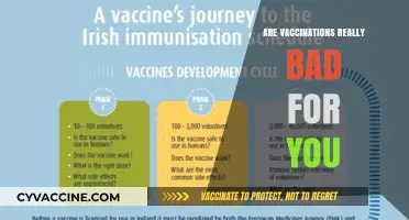 Are Vaccinations Harmful? Debunking Myths and Understanding the Facts